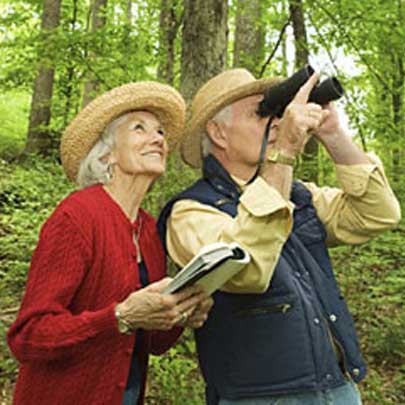 Birdwatching