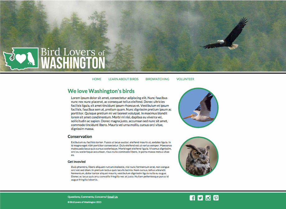 Bird Lovers of WA: Mock branding and homepage with CSS3 animation on load