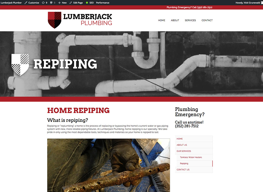 Lumberjack Plumbing: Repiping page highlights company expertise and provides useful information